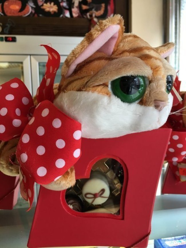 Bombones para regalo