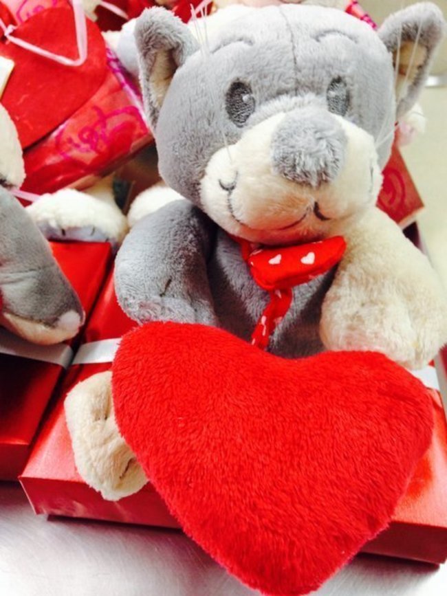 Peluche San Valentín