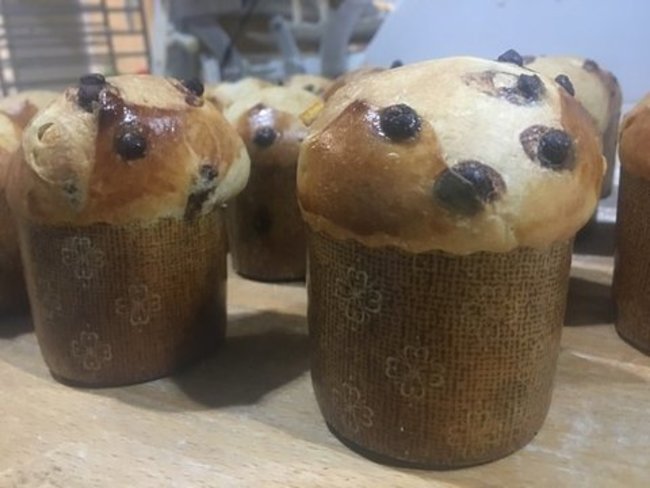 Panettone
