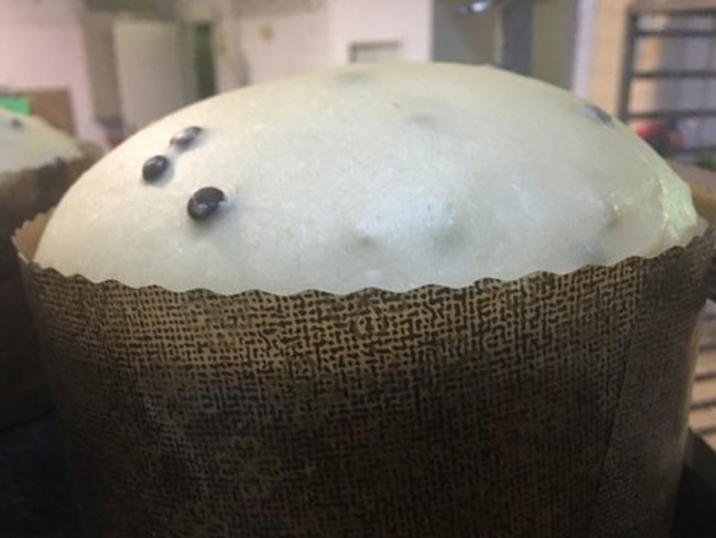 Panettone