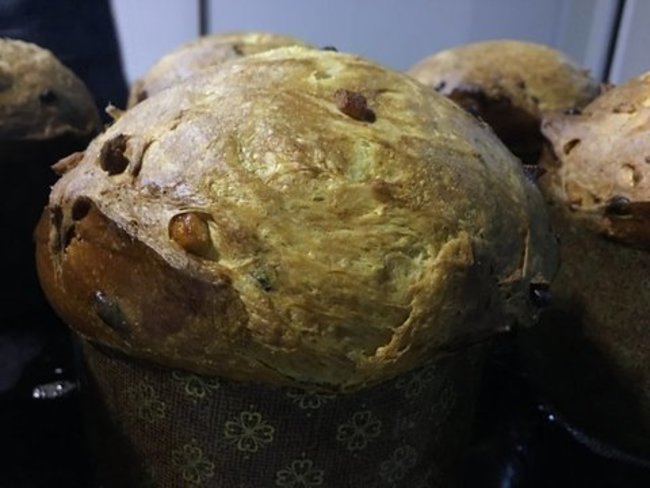 Panettone