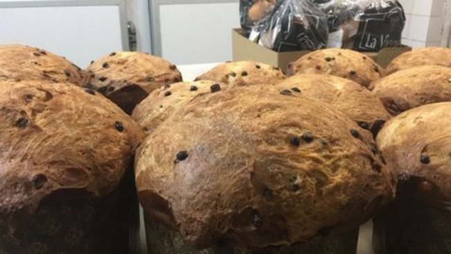 Panettone