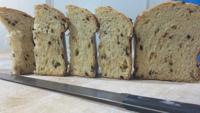 Panettone