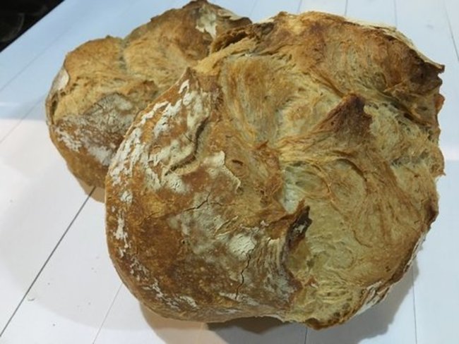 Hogaza galaica